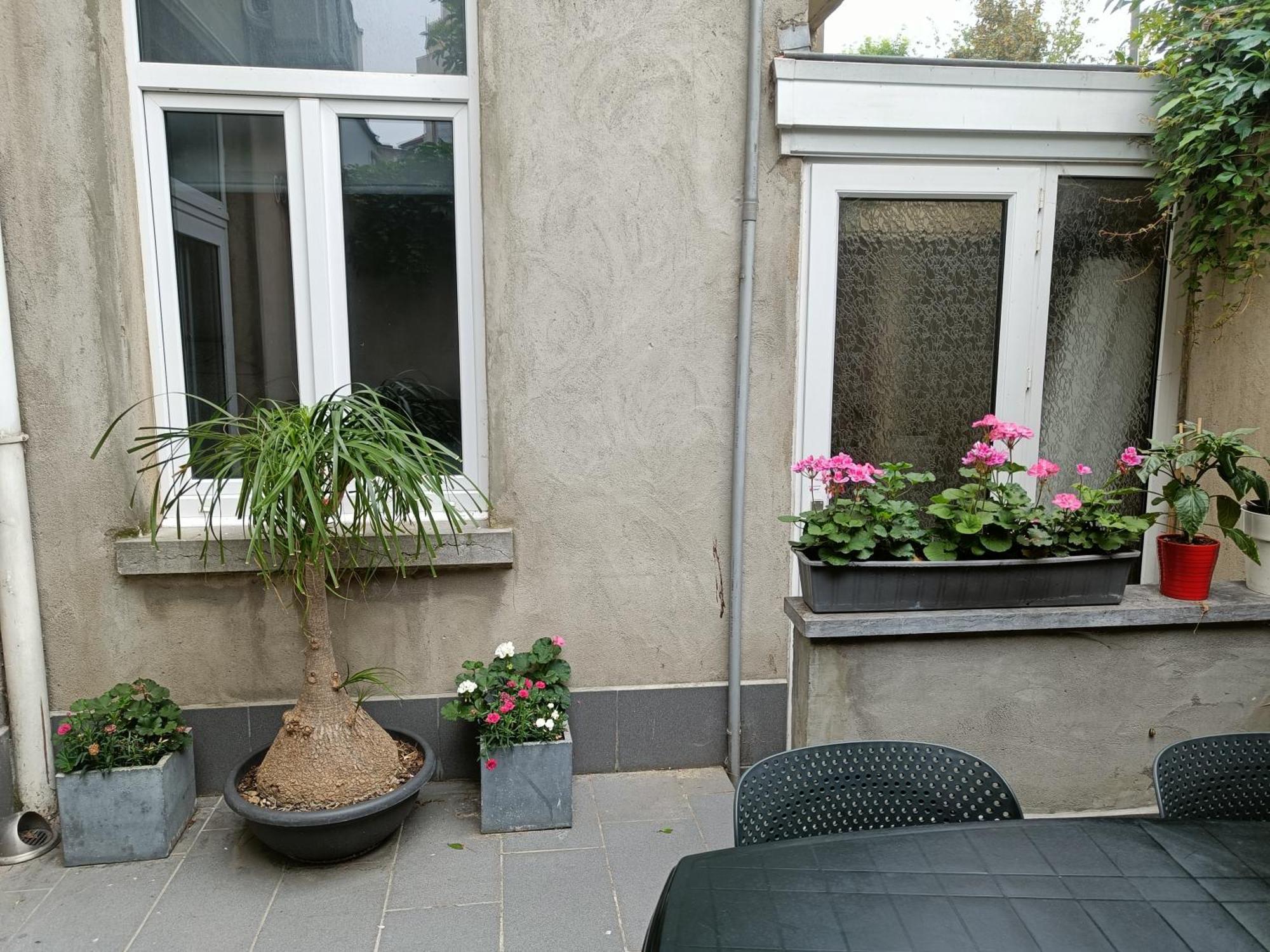 The Brussels-Laken Appartement Eksteriør bilde